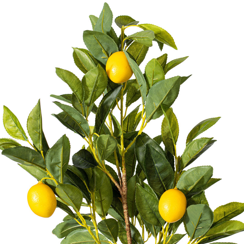 Gracie Oaks 28'' Faux Lemon Tree & Reviews Wayfair